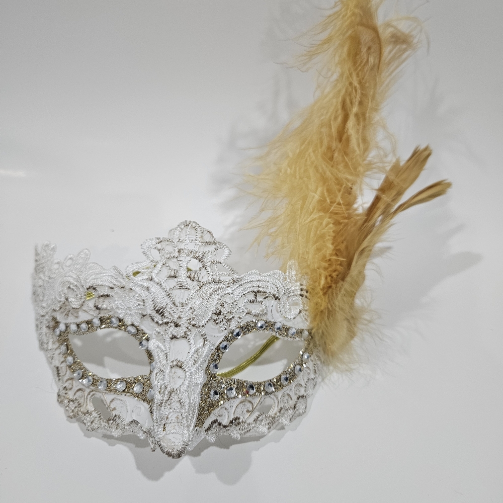 Spirit Black Feather Lace Mask